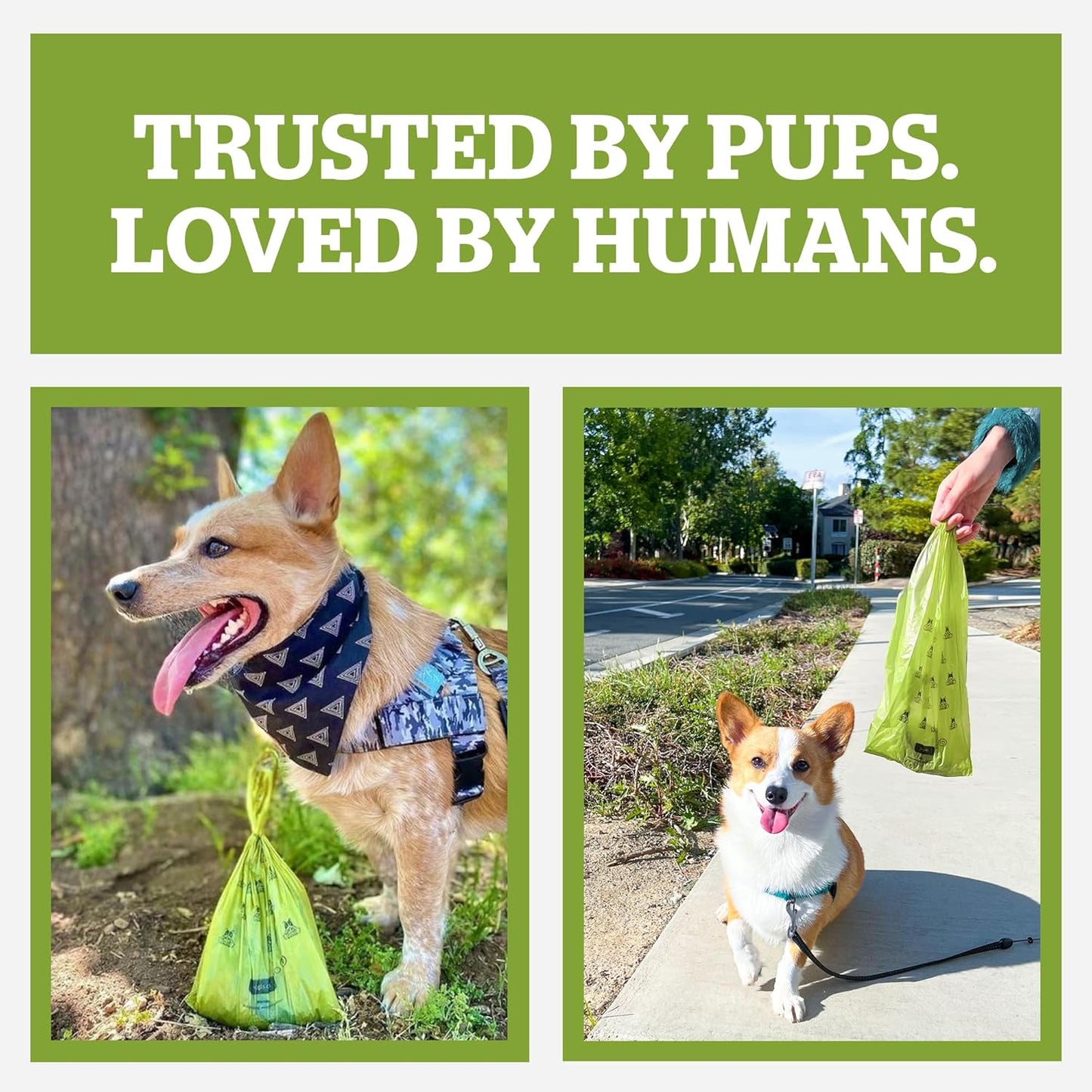 Pogi'S Dog Poop Bags with Easy-Tie Handles - 300 Doggy Leak-Proof, Ultra Thick, Scented Poop Bags for Dogs, Cat